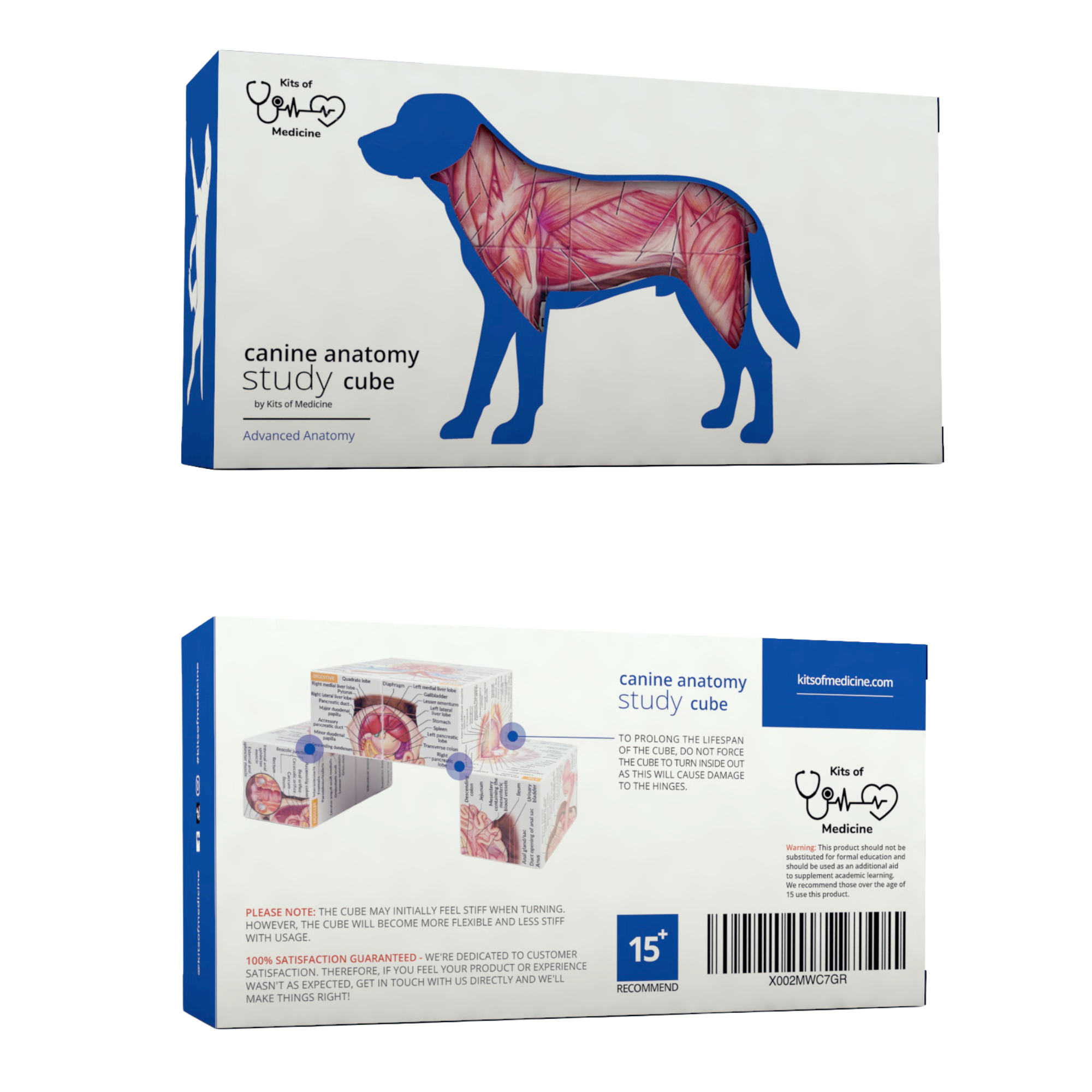 Canine Anatomy Study Cube (Advanced) - Image 8